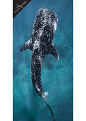 Whale Shark Microfibre Towel