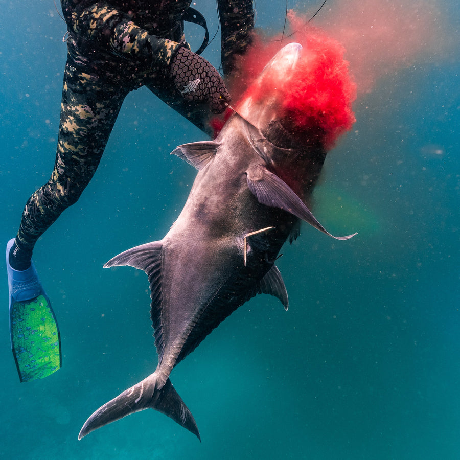 How To Target Pelagic Fish