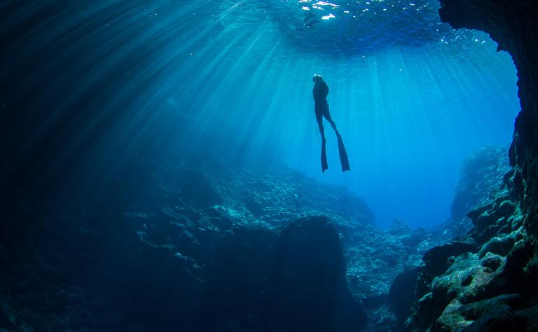 Learn to Freedive