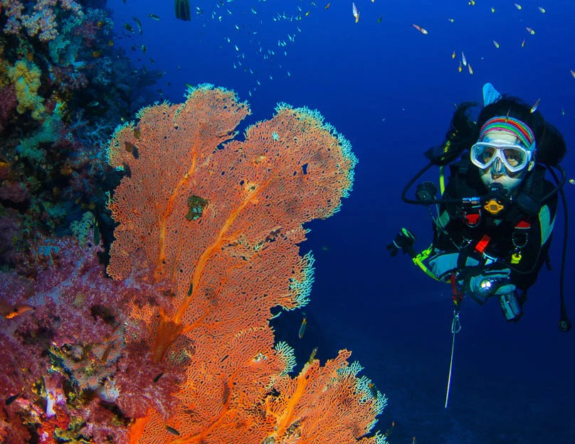 advanced open water adventurer course
