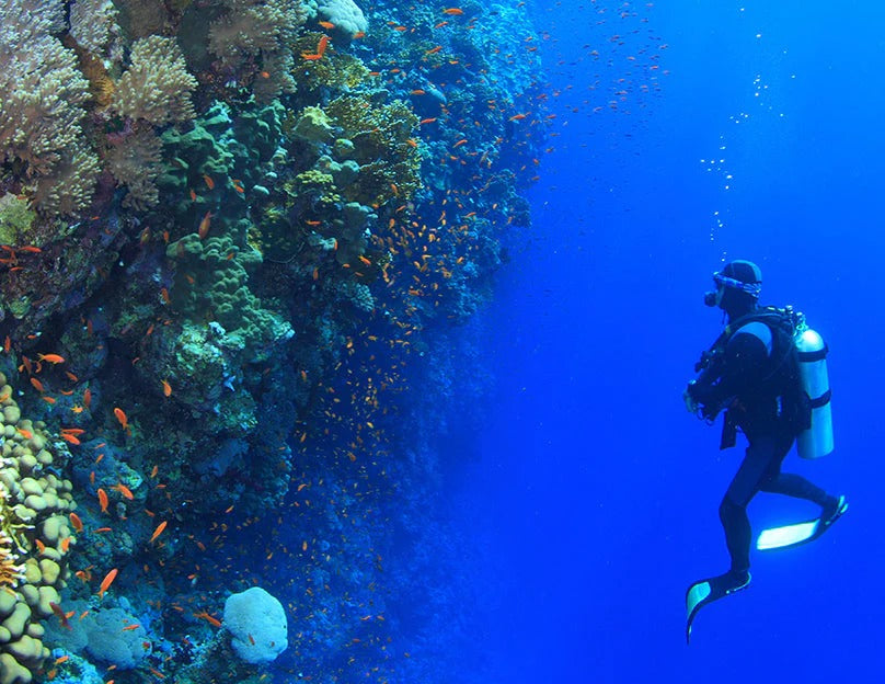 SSI NITROX DIVING COURSE
