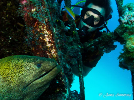 Adreno Explorer Diver Double Dive