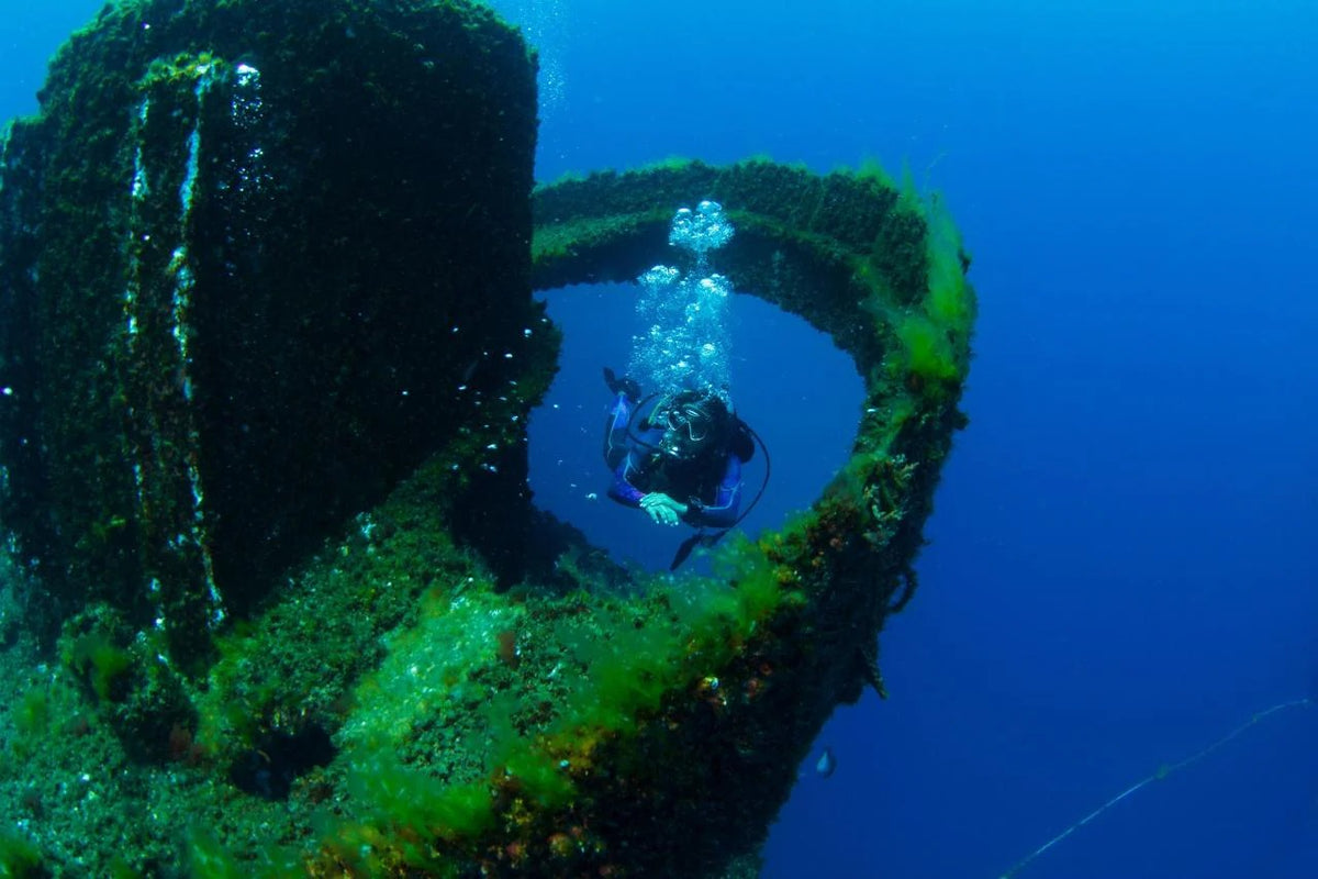 Rottnest Island Double Dive - Blue Destiny