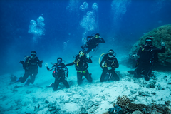 SSI Open Water Diver Course - Gold Coast