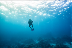 SSI Open Water Diver Course - Gold Coast