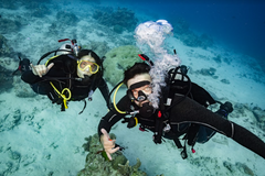 SSI Open Water Diver Course - Gold Coast