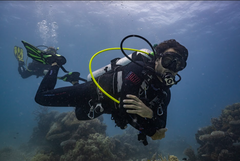 SSI Open Water Diver Course - Gold Coast