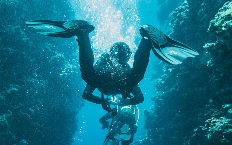 SSI SCUBA SKILLS UPDATE (REFRESHER)