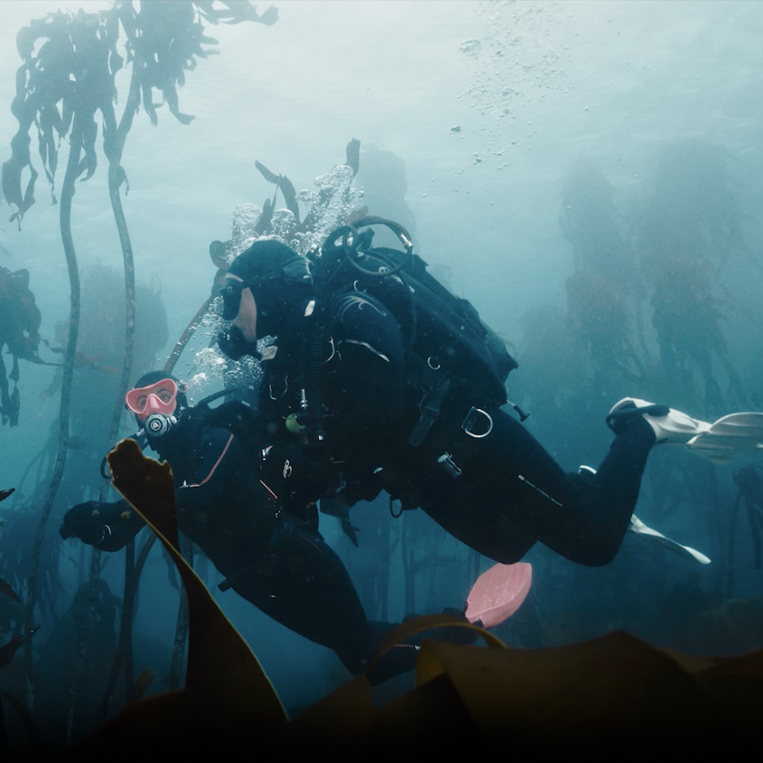 Built for Every Underwater Adventure