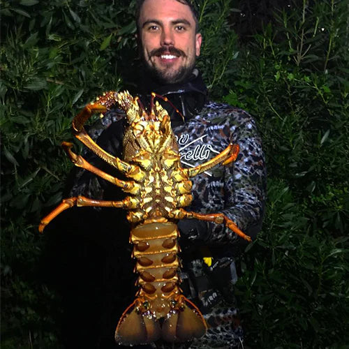 Taylor's Tips on Hunting Crayfish