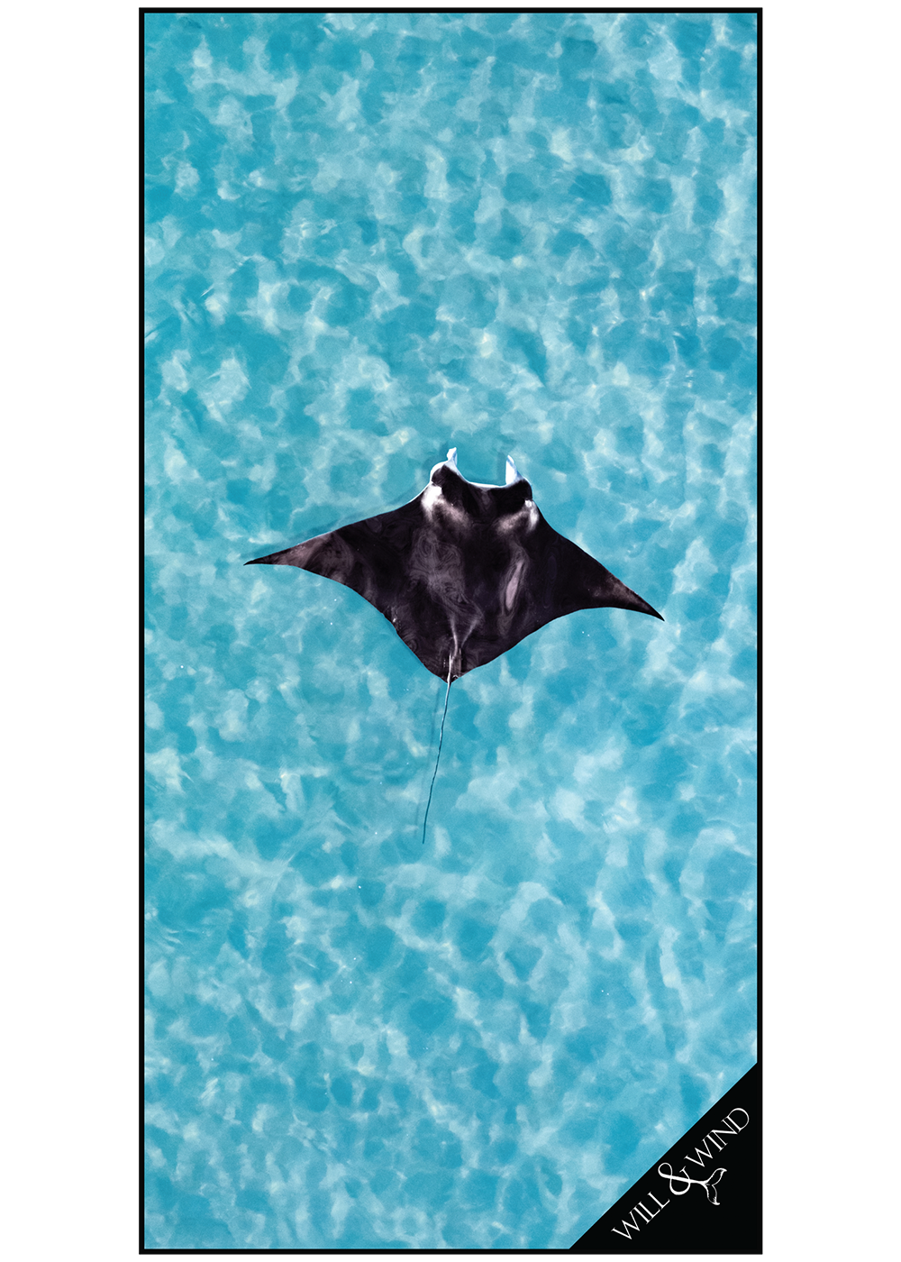 Will &amp; Wind Manta Ray Microfibre Towel