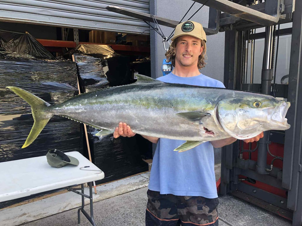 Kingfish Cup